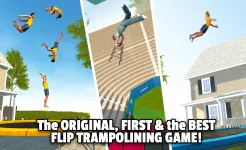 Screenshot Flip Master