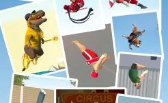 Screenshot Flip Master