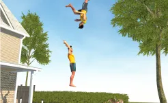 Screenshot Flip Master