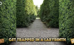 Screenshot Тайна замка Чёрный Терновник