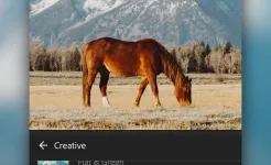 Screenshot Adobe Lightroom Photo & Video Editor