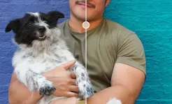 Screenshot Lightroom Photo & Video Editor