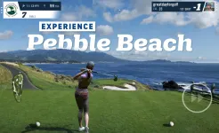 Screenshot WGT Golf