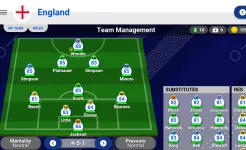 Screenshot World Soccer Champs