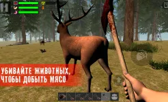 Screenshot The Survivor: Rusty Forest
