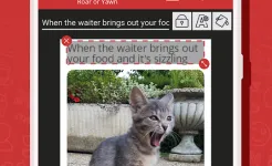 Screenshot Meme Generator PRO