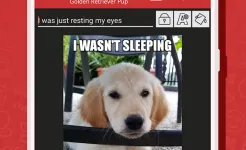 Screenshot Meme Generator PRO