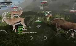 Screenshot Wild Animals Online