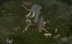 Screenshot Wild Animals Online