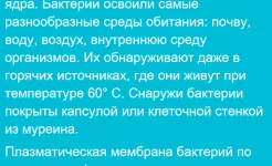 Screenshot Шпаргалки беспл.