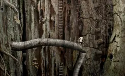 Screenshot Samorost 2