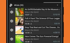 Screenshot Podcast & Radio Addict