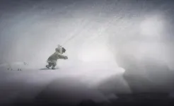 Screenshot Never Alone: Console Edition