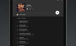 Screenshot YouTube Music
