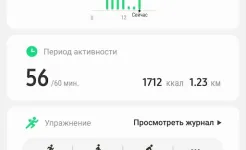 Screenshot Samsung Health