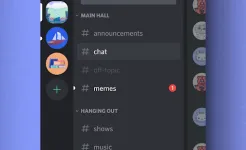 Screenshot Discord - чат и звонки