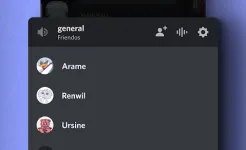 Screenshot Discord - чат и звонки