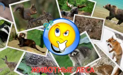 Screenshot Малыш учит животных (полная)