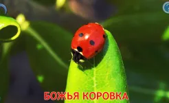 Screenshot Малыш учит животных (полная)