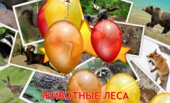 Screenshot Малыш учит животных (полная)
