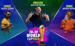Screenshot World Cricket Championship 2