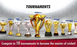 Screenshot World Cricket Championship 3