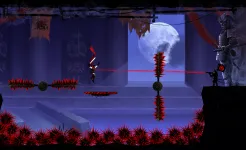 Screenshot Ninja Raiden Revenge