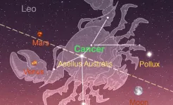 Screenshot Star Walk