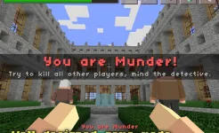 Screenshot Hide N Seek: Mini Game