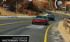 Screenshot Gear.Club – True Racing