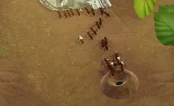 Screenshot Little Ant Colony – Idle Игра
