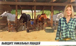 Screenshot Состязание звезд: скачки