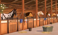 Screenshot Состязание звезд: скачки