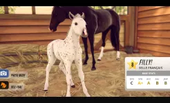 Screenshot Состязание звезд: скачки