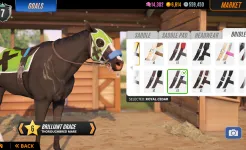 Screenshot Состязание звезд: скачки