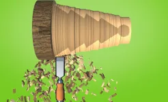 Screenshot Woodturning