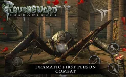 Screenshot Ravensword: Shadowlands RPG