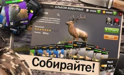 Screenshot Hunting Clash: Shooting Games