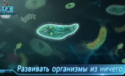 Screenshot Life on Earth: эволюция игра