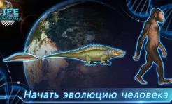 Screenshot Life on Earth: эволюция игра