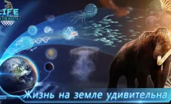 Screenshot Life on Earth: эволюция игра
