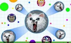 Screenshot agar.io