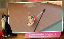 Screenshot CatHotel – Мой приют для кошек