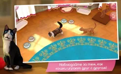 Screenshot CatHotel – Мой приют для кошек