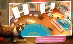 Screenshot CatHotel – Мой приют для кошек