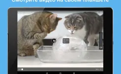 Screenshot Мой Мир