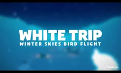Screenshot White Trip