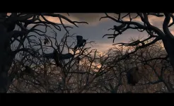 Screenshot True Fear: Forsaken Souls 2