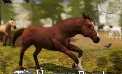 Screenshot Ultimate Horse Simulator 2