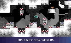 Screenshot Nameless Cat